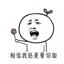 带绿帽子表情包表情