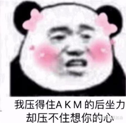  b站coderwhy老师半佛老师b站视频表情包整理