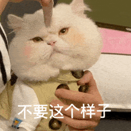  历史回顾大脸猫球球表情包第二弹