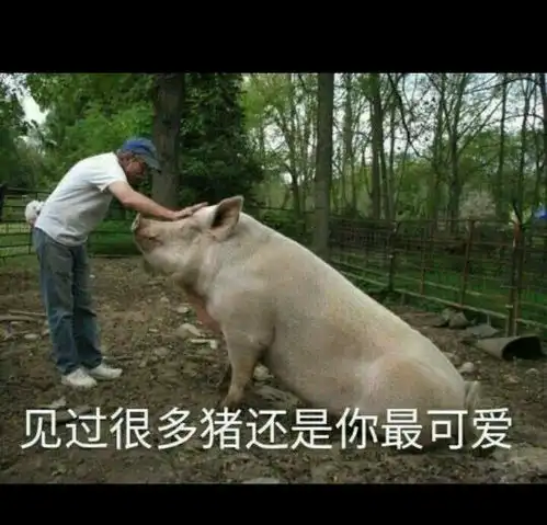 北京国际机场 北京国际机场