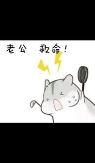 求小仓鼠hamham的表情包老公老婆,小娘子,夫君君系列的 求小仓鼠hamham的表情包老公老婆,小娘子,夫君君系列的