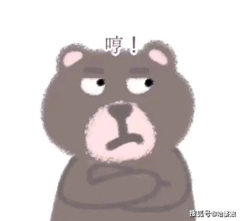  超可爱小熊系列表情包赶快码住