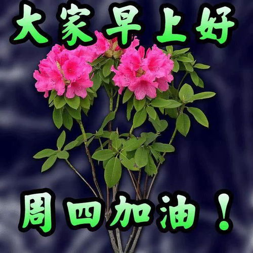  8张不用打字就可以聊天的早上好动画表情包5月早安问候动态表情图片大全