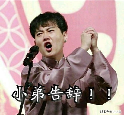  表情包系列第八期30张德云社搞笑图片