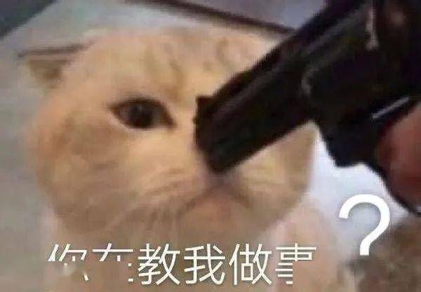夸人的表情包一套姜云升