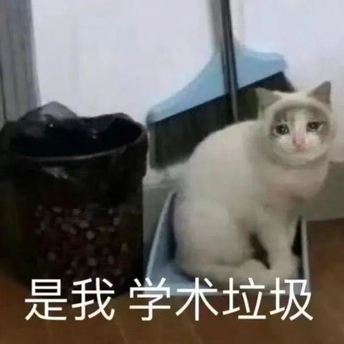  半年炫2篇sci研究生一定要试一下sci论文辅导真的太香