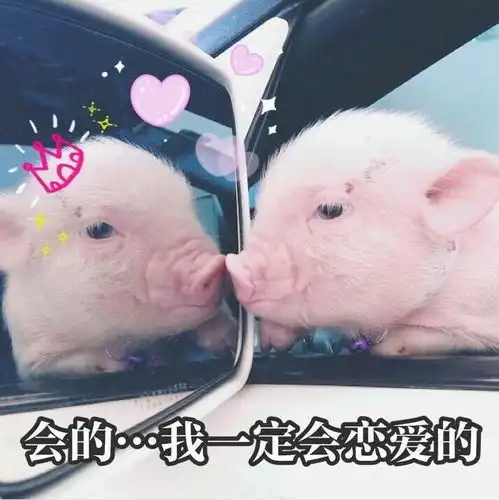 全国单身分布图一线城市单身狗最多情侣告诉你如何脱单 全国单身分布图一线城市单身狗最多情侣告诉你如何脱单