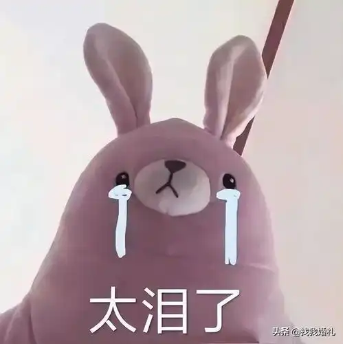 不妙啊家人们表情包穴兔