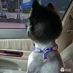 蓝瘦香菇图片表情包哈士