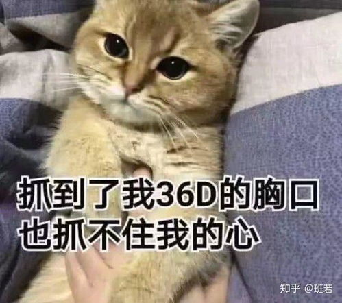 玩蛇表情包生气