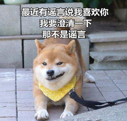  柴犬土味情话表情包合集你知道我的缺点是什么吗