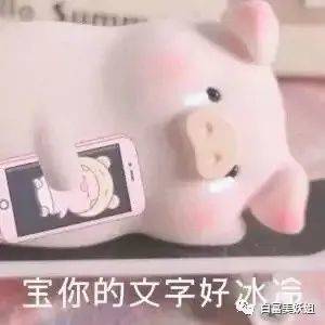  新晋网络名媛消亡史
