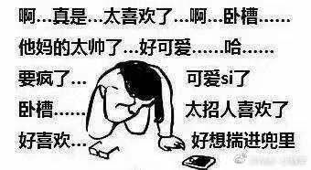  有没有追星用的表情包嘻嘻嘻就像这种样子的嘿嘿嘿