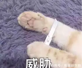 网友自曝疗伤法,心情不好就去看林更新微博,哭着进去笑着出来 网友自曝疗伤法,心情不好就去看林更新微博,哭着进去笑着出来