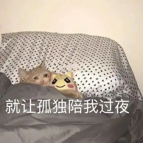 沙雕猫猫表情包 沙雕猫猫表情包