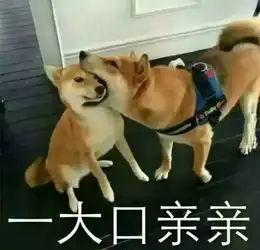 好好照顾你自己,按时喝酒抽烟,好好熬夜没事多玩手机,一切都会变好的表情包推送 好好照顾你自己,按时喝酒抽烟,好好熬夜没事多玩手机,一切都会变好的表情包推送