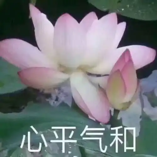 仅凭一张排行榜能否帮助hardstyle在世界上走向大众 仅凭一张排行榜能否帮助hardstyle在世界上走向大众