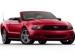  mustang