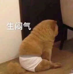  孩子英语基础不好,还能回炉重造吗