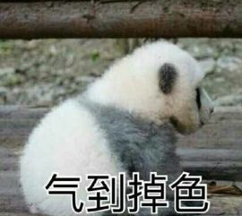  烤冷面是小吃界最大骗局每日轻松一刻12月5日晚间版