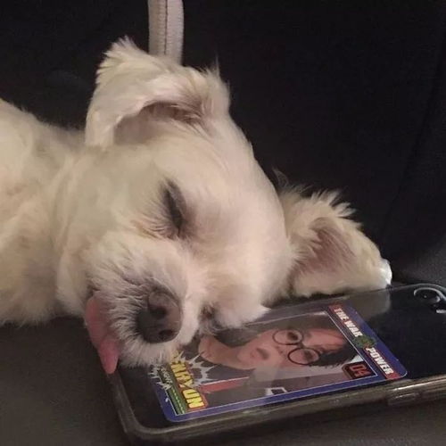 头像丨从前从前有个人爱你很久 头像丨从前从前有个人爱你很久