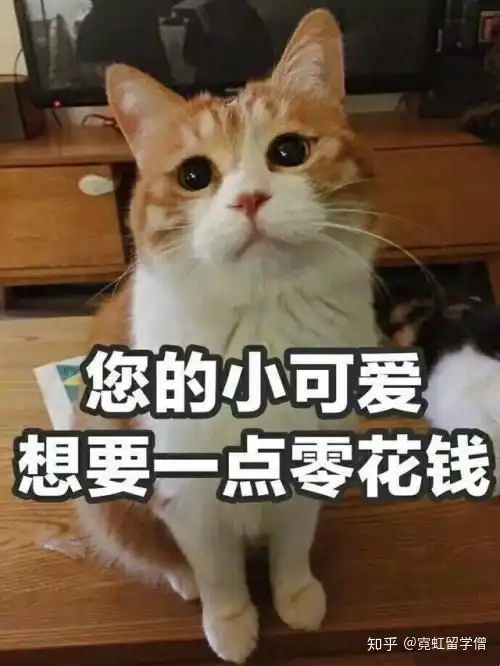  最详细的日本留学费用list