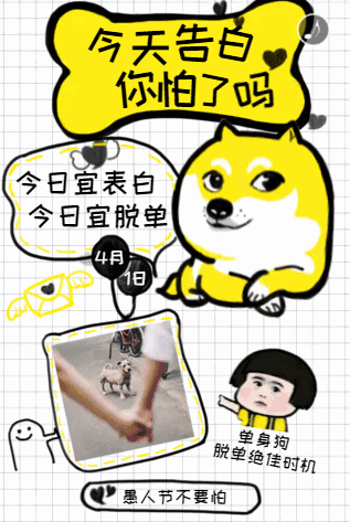  情人节强迫喂狗粮这次我要替单身汪站台