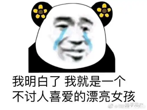 啪的一声没了的表情包学