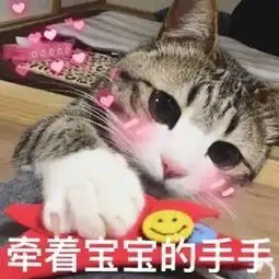  别人家的喵系列表情包