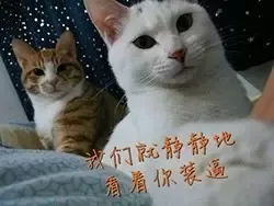  白百何被爆是招惹了他好心疼外科风云