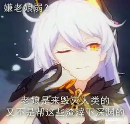 崩坏三表情包第十七期内含封面 崩坏三表情包第十七期内含封面