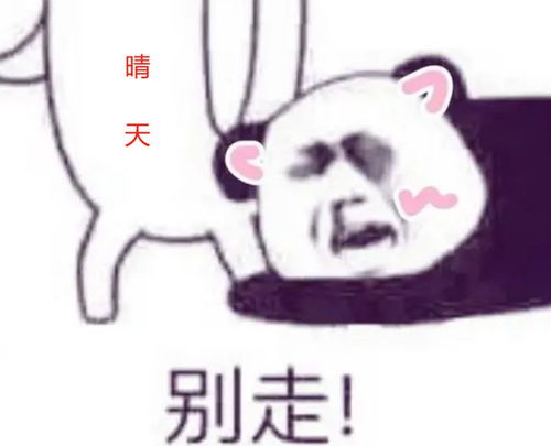 快拿掉表情包沙雕