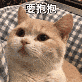  表情包动图你再说一遍
