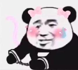  富二代女友怀了龙凤胎,男子打开600多万嫁妆后慌了