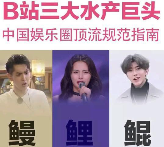 吴亦凡大碗宽面中的这句歌词,反过来念,竟讽刺了半个娱乐圈