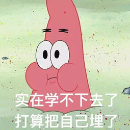  暑假假期来喽