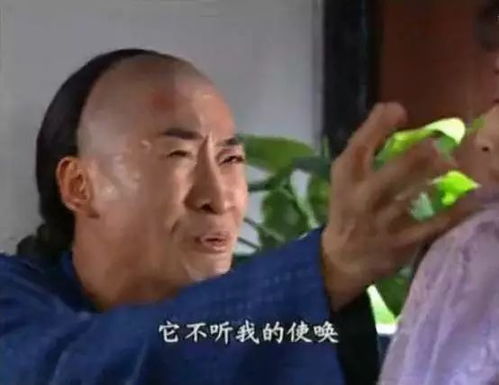  这些是今年最火的表情包,没用过你这一年都白过了