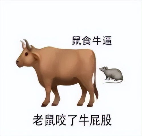  全系满血快充,这波新机太狠了吧