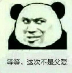  能分享一些有意思的熊猫头表情包吗