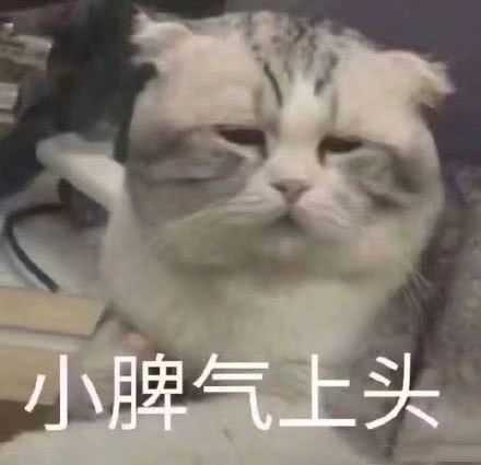  取证了1.41万㎡起上车东二环双地铁盘,刚需硬货来了