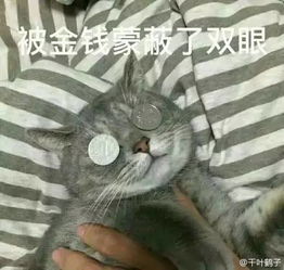 表情包形容你专业图片这