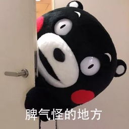 过去一年我得罪的人,我想对你说 过去一年我得罪的人,我想对你说