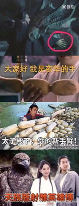  三生三世大结局已经开始想念姑父了没关系,我们有夜华豪华表情包