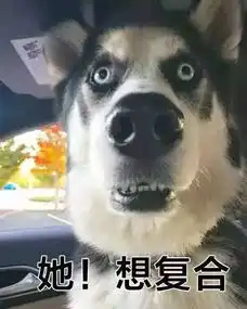 前女友突然加我微信怎么办 前女友突然加我微信怎么办