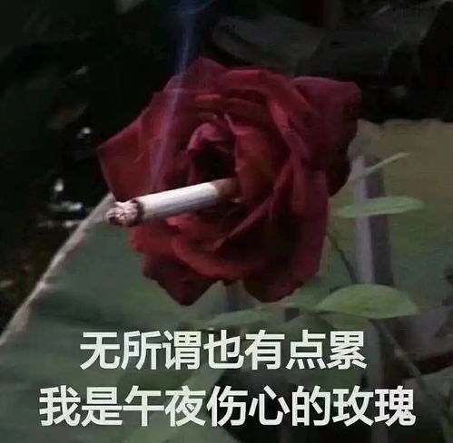 恶之花记者无语表情包沙