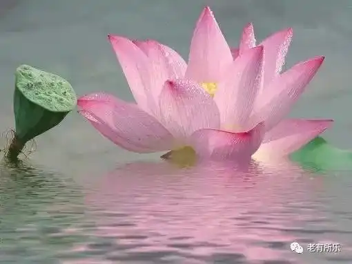 这条微信,真的很好你不看看吗 这条微信,真的很好你不看看吗