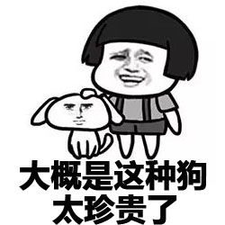  表情包因为单身狗只有一只,势力单薄