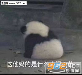  发出吃饱的声音原图这他妈的是什么人间疾苦表情包下载乐游网游戏下载