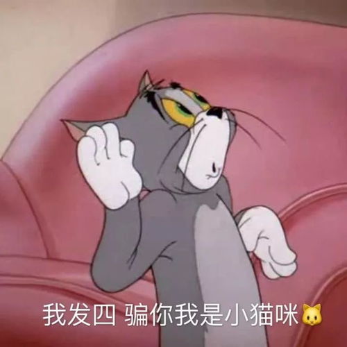  猫和老鼠合集来啦