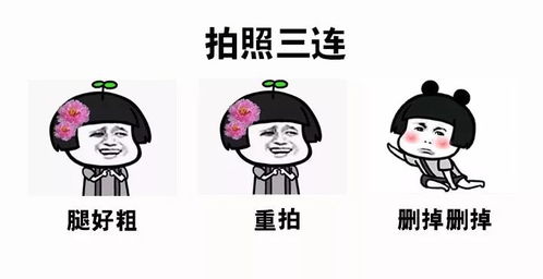  据说用过这套三连表情包的,都看到了不一样的美景